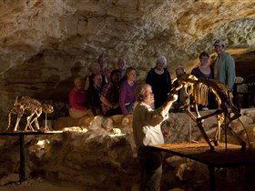 Naracoorte Caves National Park - Accommodation Mount Tamborine 0
