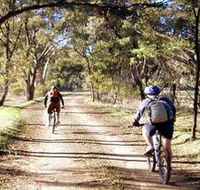 Bike About Mountain Bike Tours And Hire - Accommodation Mount Tamborine