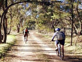 Bike About Mountain Bike Tours And Hire - Accommodation Mount Tamborine 0
