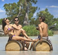 Caudo Vineyard Cellar Door - Accommodation Mount Tamborine