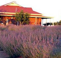 Bella Lavender Estate - Accommodation Mount Tamborine