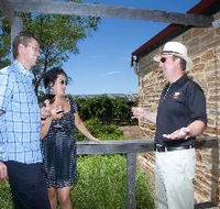 Shingleback Wine Cellar Door - Accommodation Mount Tamborine