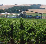 Kirrihill Wines - Accommodation Mount Tamborine
