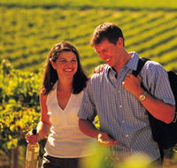 Lady Bay Vineyard - Accommodation Mount Tamborine