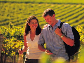 Lady Bay Vineyard - Accommodation Mount Tamborine 0