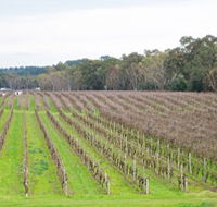 Dennis Wines - Accommodation Mount Tamborine