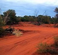 Tallaringa Conservation Park - Accommodation Mount Tamborine