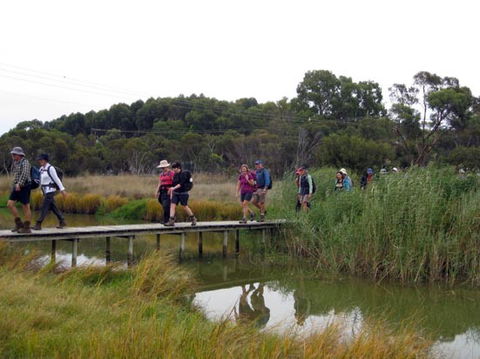 Lavender Federation Trail - Accommodation Mount Tamborine 1