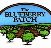 The Blueberry Patch - Accommodation Mount Tamborine