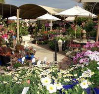 Serenity Nursery - Accommodation Mount Tamborine