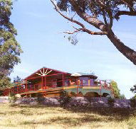 Barringwood Park Vineyard - Accommodation Mount Tamborine