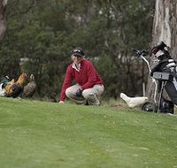 Tasmania Golf Club - The - Accommodation Mount Tamborine
