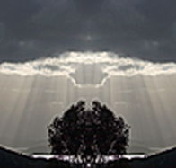 aart. Gallery of Fine Art - Accommodation Mount Tamborine