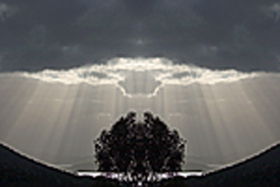 Aart. Gallery Of Fine Art - Accommodation Mount Tamborine 0