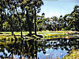 Smithton TAS Accommodation Mount Tamborine