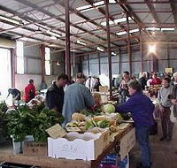 Burnie Farmers' Market - Accommodation Mount Tamborine