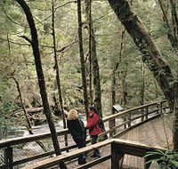 Franklin River Nature Trail - Accommodation Mount Tamborine