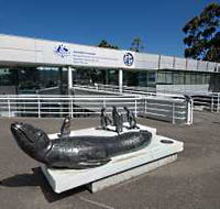 Australia's Antarctic Headquarters - Accommodation Mount Tamborine