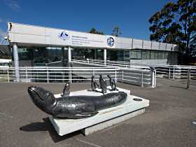Australia's Antarctic Headquarters - Accommodation Mount Tamborine 0