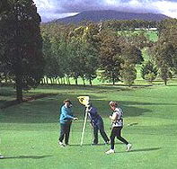 Deloraine Golf Course - Accommodation Mount Tamborine
