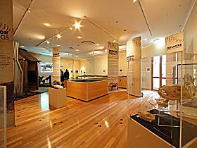 Tasmanian Tiger Exhibition - Accommodation Mount Tamborine 0