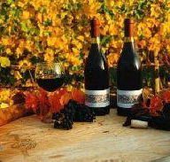 Craigow Vineyard - Accommodation Mount Tamborine