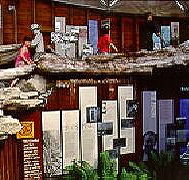 West Coast Visitor Information and Booking Centre - Accommodation Mount Tamborine