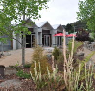 Tin Dragon Interpretation Centre and Cafe - Accommodation Mount Tamborine