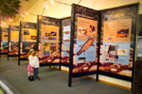 Platypus Experience - Accommodation Mount Tamborine 0