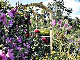 Thelma Retreat Garden And Teahouse - Accommodation Mount Tamborine 0