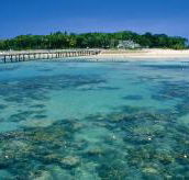 Green Island Fringing Reefs - Accommodation Mount Tamborine