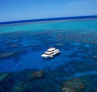 Norman Reef Dive Site - Accommodation Mount Tamborine