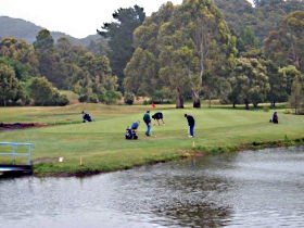 Penguin Golf Course - Accommodation Mount Tamborine 0