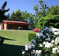 Villarett Gardens - Accommodation Mount Tamborine
