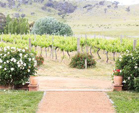 Brindabella Hills Winery - Accommodation Mount Tamborine 0