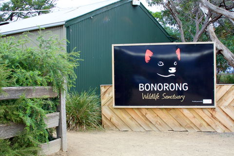 Bonorong Wildlife Sanctuary - Accommodation Mount Tamborine 1