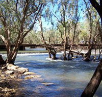 Low Level Nature Reserve - Accommodation Mount Tamborine