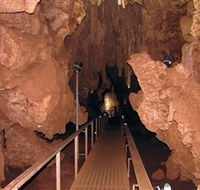Cutta Cutta Caves Nature Park - Accommodation Mount Tamborine