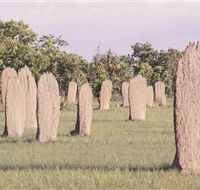 Magnetic Termite Mounds - Accommodation Mount Tamborine
