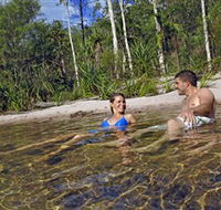 Tjaynera/Sandy Creek Falls - Accommodation Mount Tamborine