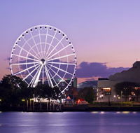 The Wheel of Brisbane - Accommodation Mount Tamborine