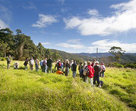 Accommodation Mount Tamborine