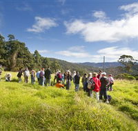 Apple Tree Park - Accommodation Mount Tamborine