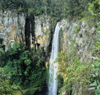 Gondwana Rainforests of Australia - Accommodation Mount Tamborine
