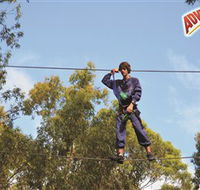 Adventure Parc at Currumbin Wildlife Sanctuary - Accommodation Mount Tamborine