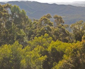  Accommodation Mount Tamborine