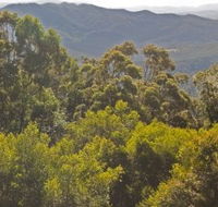 Conondale National Park - Accommodation Mount Tamborine
