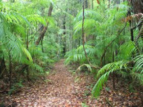 Mapleton QLD Accommodation Mount Tamborine