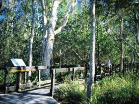 Noosa Heads QLD Accommodation Mount Tamborine