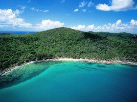 Noosa Heads Coastal Track - Accommodation Mount Tamborine 0